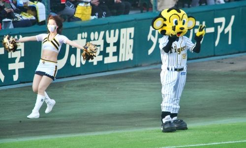 ＊即購入可能阪神タイガース 44番 藤原 通 実使用 直筆 サイン入り バット